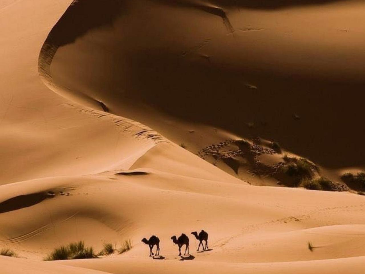 Hotel Amazing Luxury Camp Merzouga Exteriér fotografie